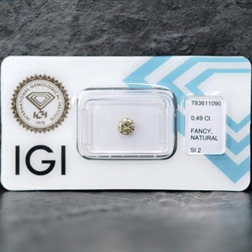 1 pcs Diamant (Couleur naturelle) - 0.49 ct - Rond - Fancy, Nieuw