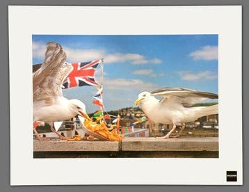 Martin Parr - Magnum Photos - West Bay, Dorset, England,