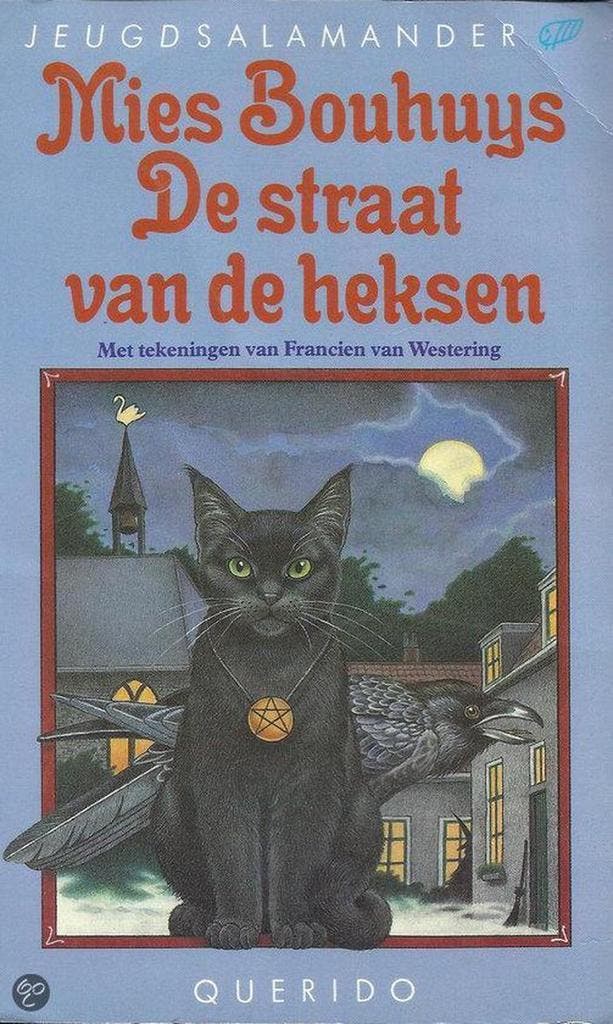 De straat van de heksen / JeugdSalamander 9789021431970, Livres, Livres pour enfants | Jeunesse | 13 ans et plus, Envoi