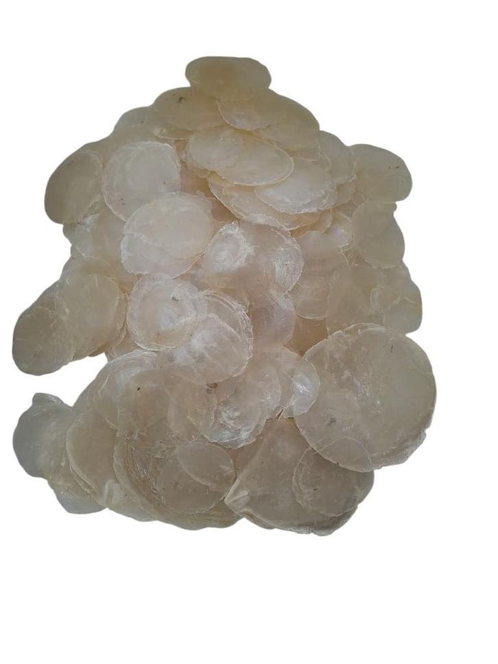 Capiz Camar schelpen 500 gram, Hobby & Loisirs créatifs, Bricolage