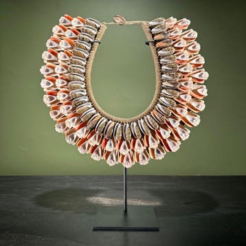 Decoratief ornament - NO RESERVE PRICE - SN14 - Shell