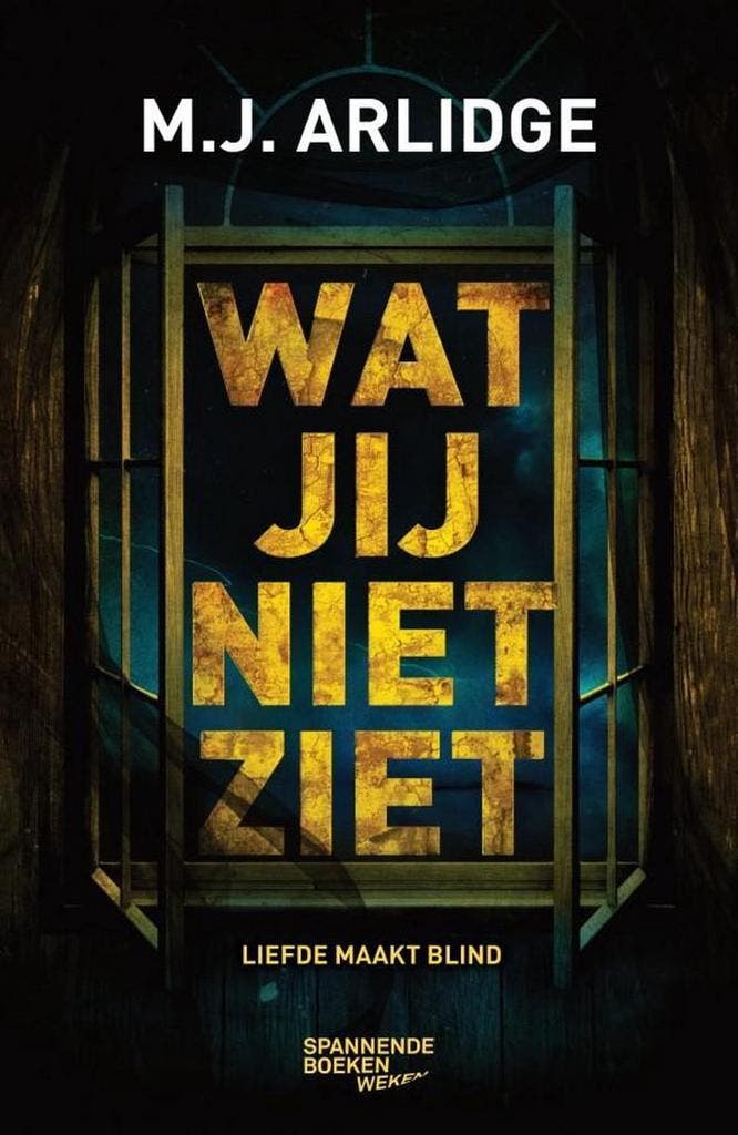 Wat jij niet ziet 9789059655201 M.J. Arlidge, Livres, Thrillers, Envoi