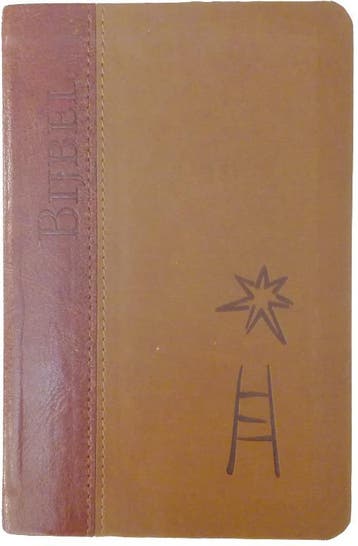 De Nieuwe Bijbelvertaling Met deuterocanonieke boeken, Boeken, Verzenden, Gelezen