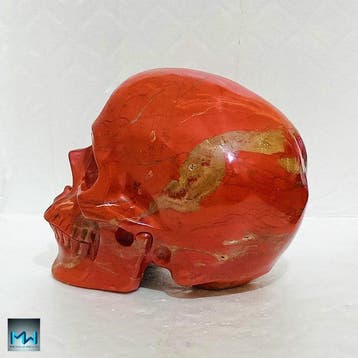 Magnifique pièce de crâne humain, taillée à la main dans du