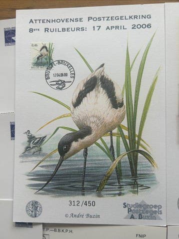 Belgique 1998/2024 - Conceptions dAndré Buzin : 2 cartes, Gestempeld