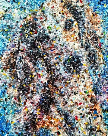 Alessio Mazzarulli - Adopt me, please! - 01 (n.748)