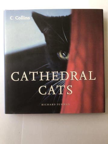 Cathedral Cats 9780007235636 Richard Surman, Verzenden, Gelezen, Richard Surman