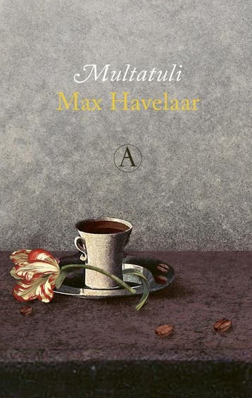 Max Havelaar 9789025312862 Multatuli, Boeken, Verzenden, Gelezen, Multatuli