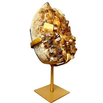 Citrine sur Pied Gravure - Hoogte: 190 mm - Breedte: 100 mm-, Collections