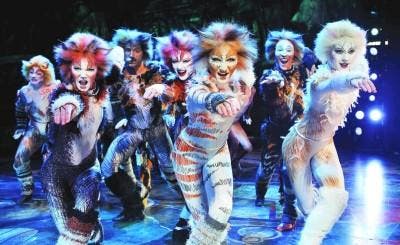 Cats Tickets, Tickets en Kaartjes, Overige Tickets en Kaartjes