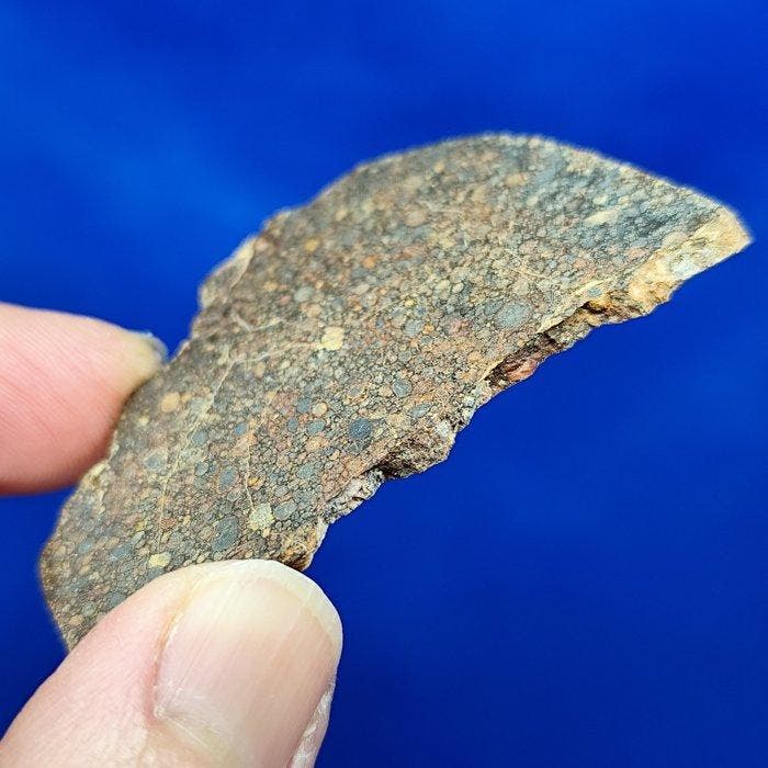 -Honderden chondriolen!- Verbijsterende TYPE LL3 CHONDRITE, Verzamelen, Mineralen en Fossielen