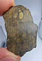 Météorite. Rumuruti R3-6. NWA 17584. - 4 g - (1)