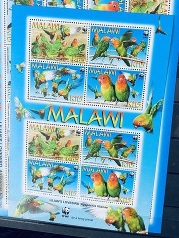 Wereld - Collectie Thema Vogels