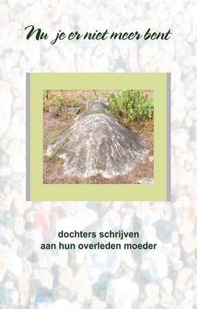 Nu je er niet meer bent 9789081135436, Verzenden, Gelezen