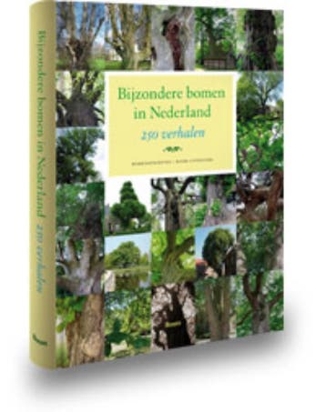 Bijzondere bomen in Nederland 9789085069348 Girbe Buist, Verzenden, Girbe Buist