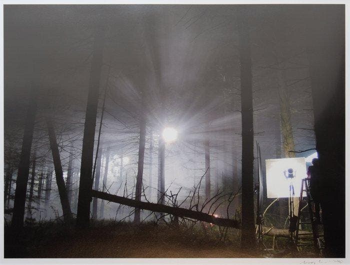 Gregory Crewdson - Production Still (Man in Woods #1), Antiquités & Art, Art | Objets design