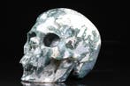*Memento Mori* mosagaat schedel Gesneden schedel - - - 9.7, Antiek en Kunst