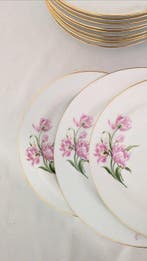 Richard Ginori - Tafelservies (31) - Porselein - Per 10