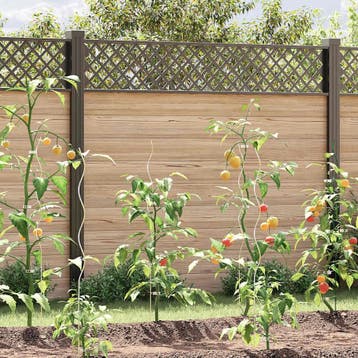 vidaXL Plantenstok spiraal 110 cm gegalvaniseerd staal 50 st, Verzenden, Nieuw