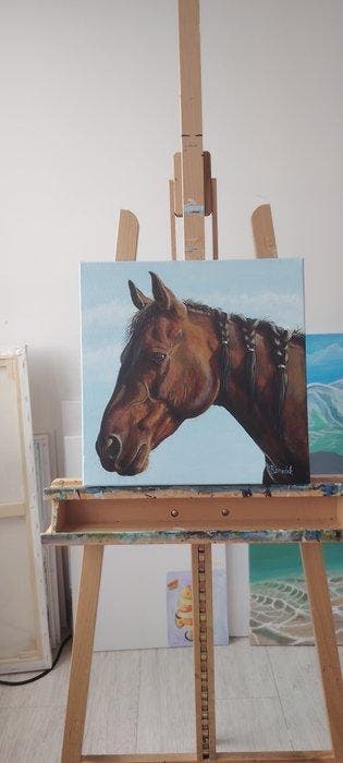 Benedek Marius Gabriel - Maximus - Aristocratic Horse