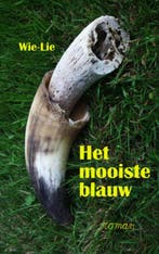 Het mooiste blauw 9789491080944 Wiel Goossens, Verzenden, Wiel Goossens