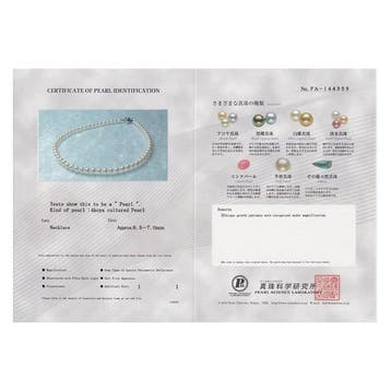 Sans prix de réserve - Collier Argent Perle -