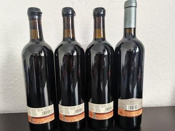 2012 Celler Vall Llach, Embruix de Vall Llach & 2021 Familia