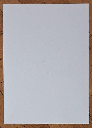 Emma Wildfang Colour pencil drawing - Woodstock - original