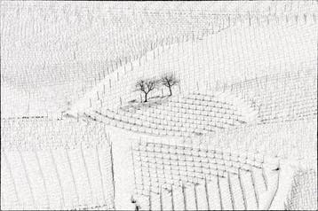 Franco Turcati - Langhe inverno (356)