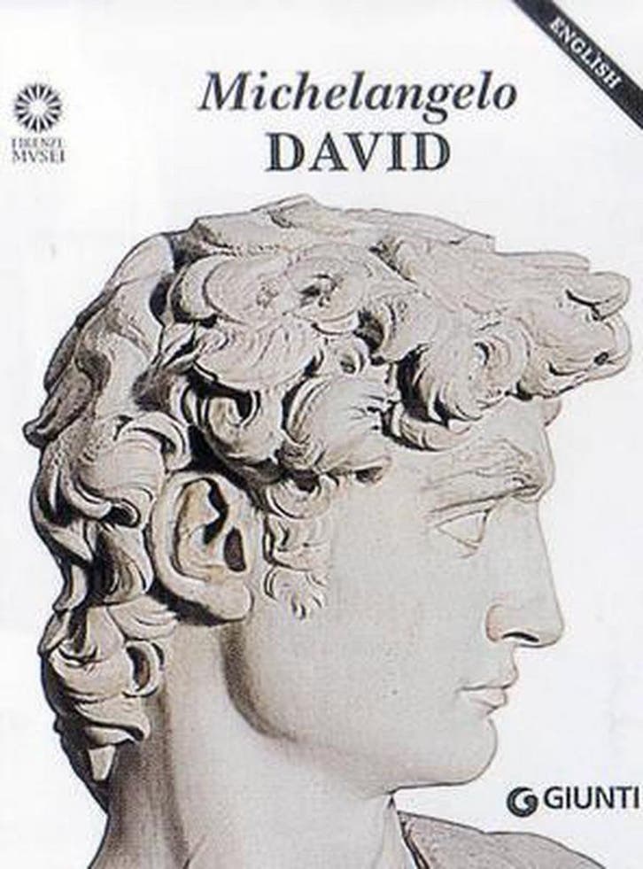 Michelangelo 9788809214538, Livres, Langue | Anglais, Envoi