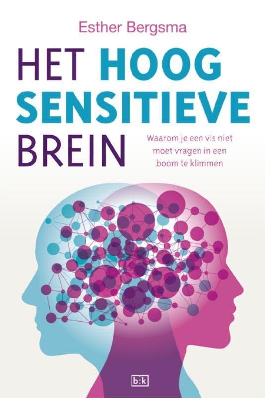 Het hoogsensitieve brein 9789492595126 Esther Bergsma, Livres, Psychologie, Envoi
