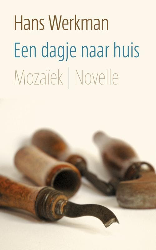 Een dagje naar huis 9789023994312 Hans Werkman, Livres, Romans, Envoi