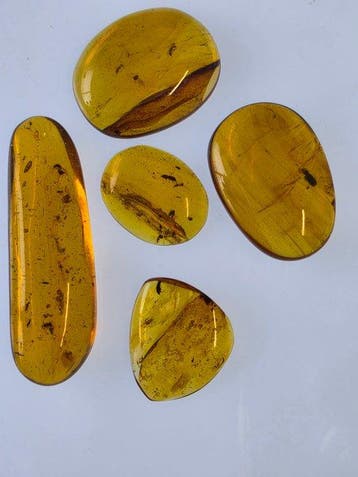 Birmese barnsteen - Barnsteen - Lot of 5 Burmese Amber