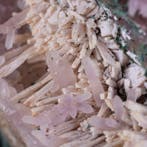 Collection fantastique de minéraux Calcite, Améthyste et, Collections