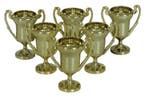 Uitdeelcadeautjes Trofeeen 6cm 6st, Verzenden, Nieuw