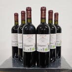 2021 Grifi, Avignonesi - Toscane IGT - 6 Flessen (0.75, Verzamelen, Wijnen, Nieuw
