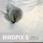 Birdpix / 5 / Birdpix / 5 9789079588022, Verzenden, Gelezen