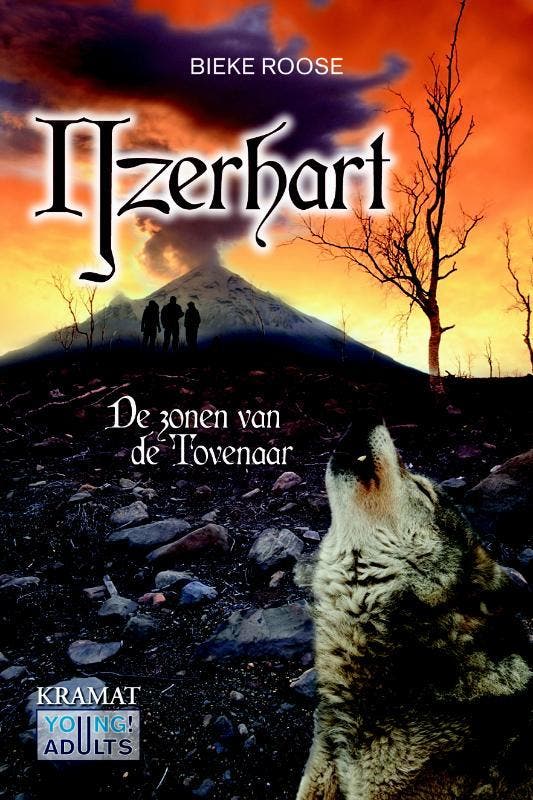 Ijzerhart / De zonen van de tovenaar / 2 9789462420007, Livres, Livres pour enfants | Jeunesse | 13 ans et plus, Envoi