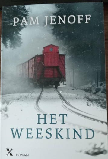 Het weeskind 9789401624558 Pam Jenoff, Verzenden, Zo goed als nieuw, Pam Jenoff