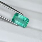 Zonder minimumprijs Smaragd - 3.62 ct - International, Nieuw