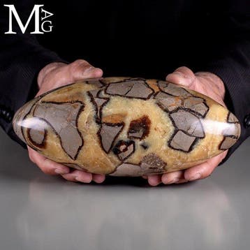 Indrukwekkende septarian Dragon Stone Shiva Lingam -