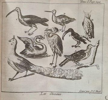 Antoine Pluche - Le spectacle de la nature - 1752