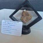 Al Haggounia 001 meteoriet - Chrondiet meteoriet - Op, Verzamelen, Mineralen en Fossielen