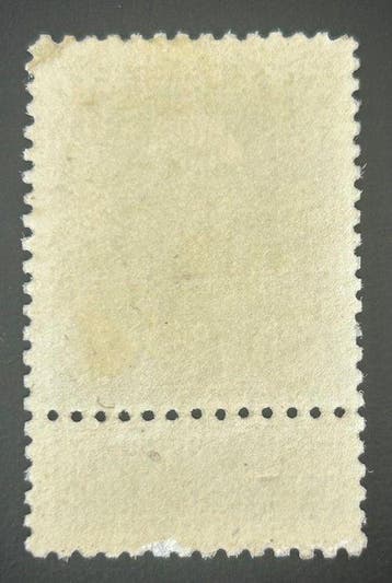 Belgique 1905 - Leopold II « Grove Baard » - 50c Gris - NEUF, Gestempeld
