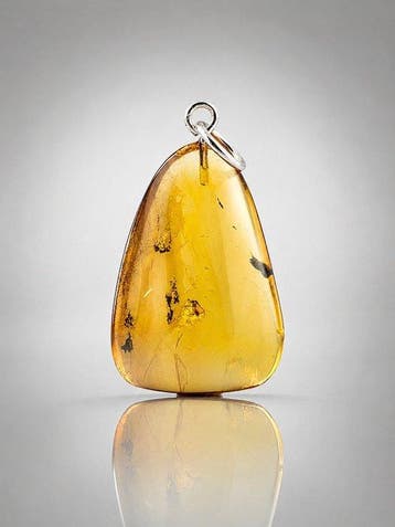Baltisch amberhanger met zeldzame phoridevlieg –
