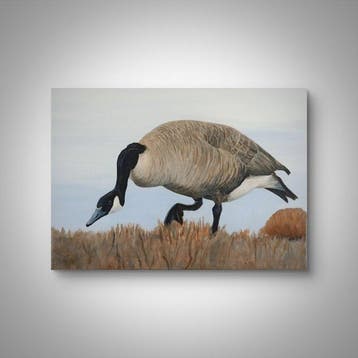Leon Rysa - Goose