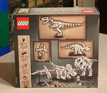 Lego Set - 21320 - Ideas (CUUSOO) - Dinosaur Fossils