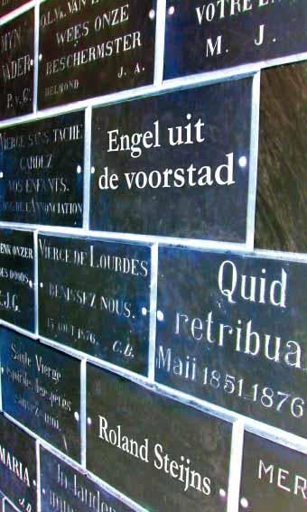 Engel uit de voorstad 9789086664016 Roland Steijns, Verzenden, Roland Steijns