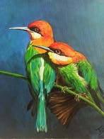 Tomasz Bednarski (1965) - Bee-eater