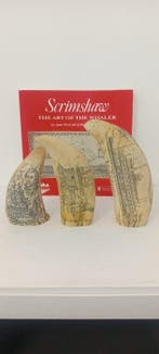 Scrimshawed Walrus tusk (3) - Résine